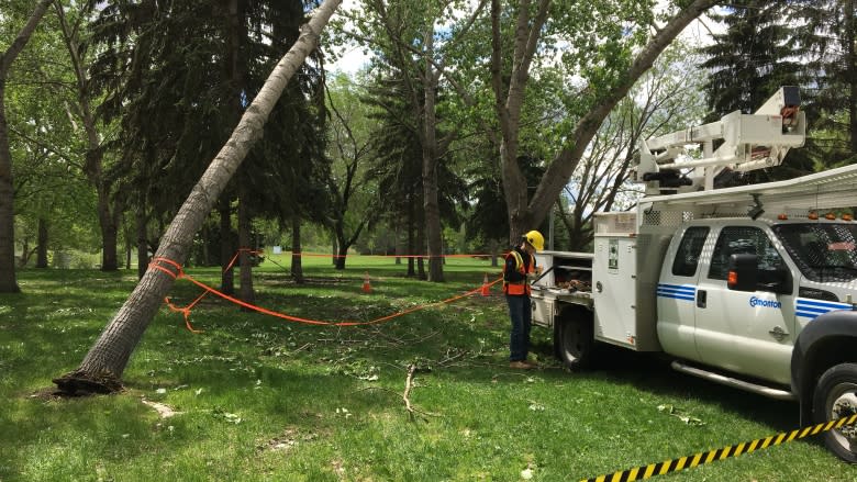 Edmonton city crews busy cleaning up after Wednesday's storm