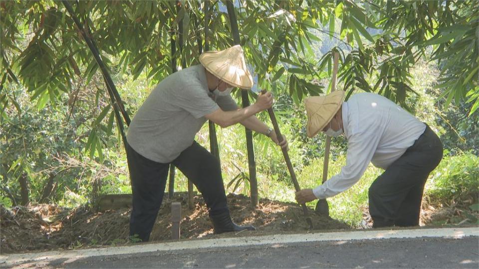 解方遭黃珊珊諷「兩光」　陳時中：市府失敗主義