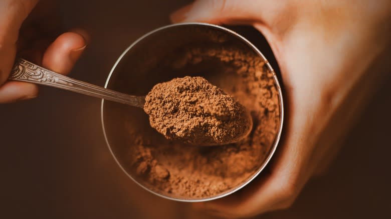 Cocoa powder on spoon
