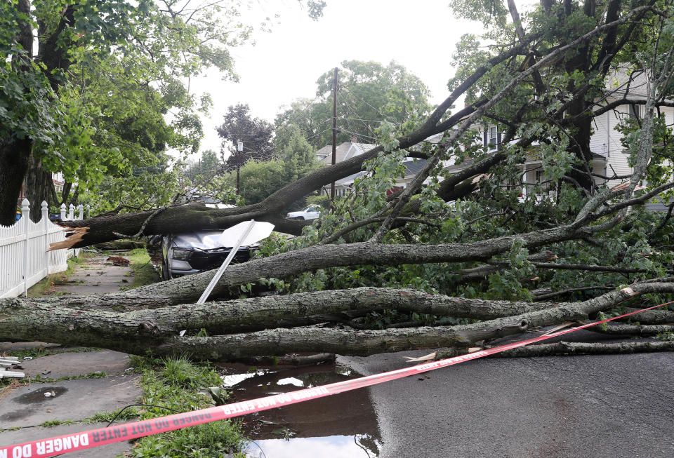 A tree crushed a truck on Janet Street the morning after a violent storm swept through the Kingston area  July 14, 2022. 