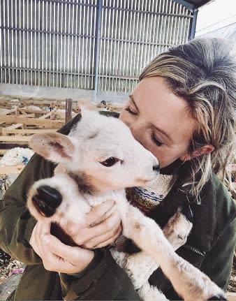 Lucy had a little lamb: morning cuddles down at Hedgeley farm.