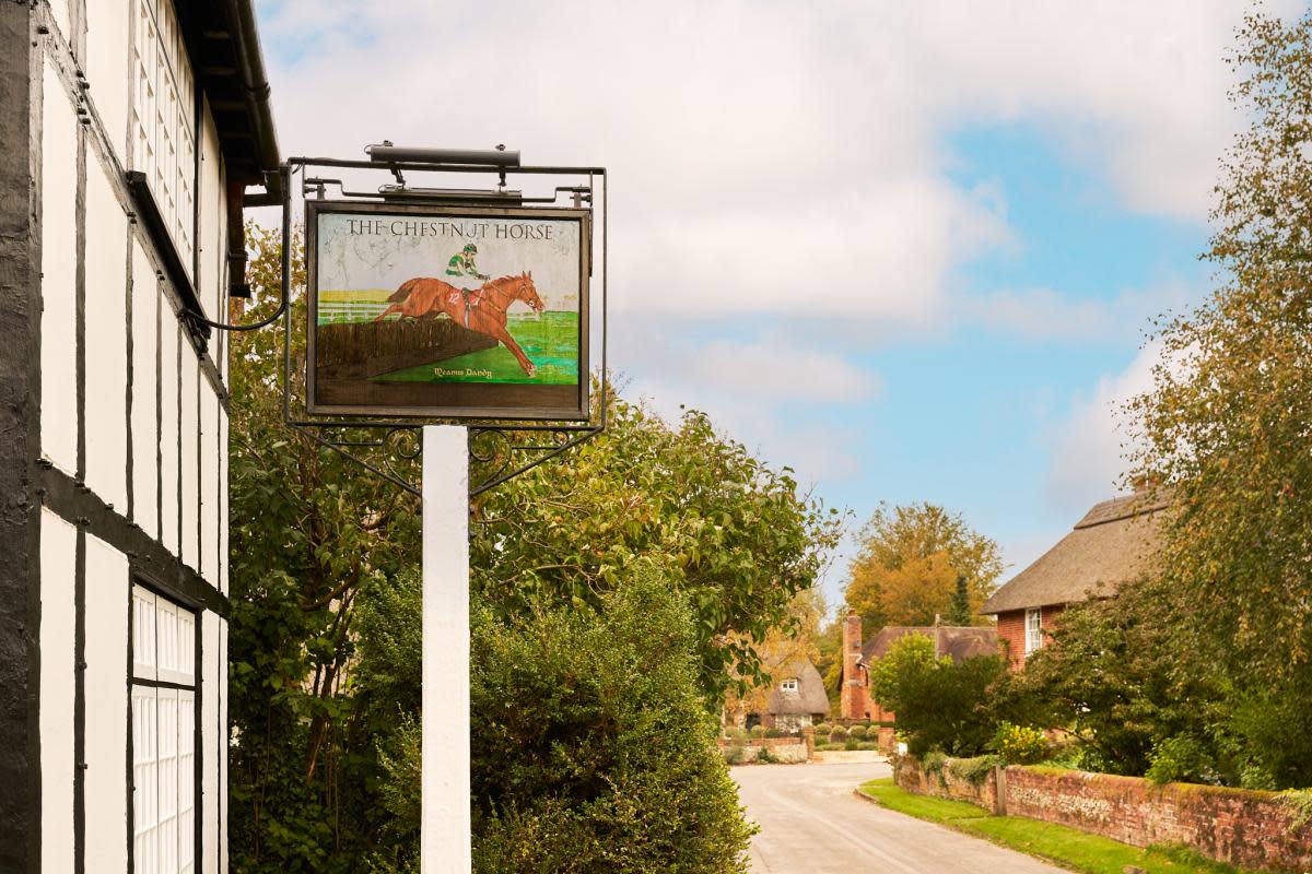 The Chestnut Horse Easton <i>(Image: Avington Estate)</i>