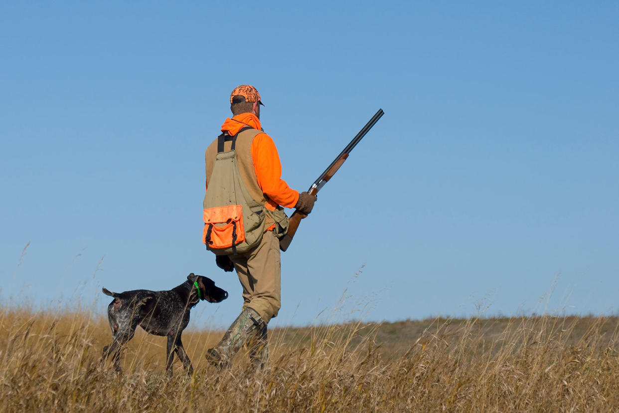 Hunter out pheasant hunting on the prairie with his dog Getty Images/SteveOehlenschlager