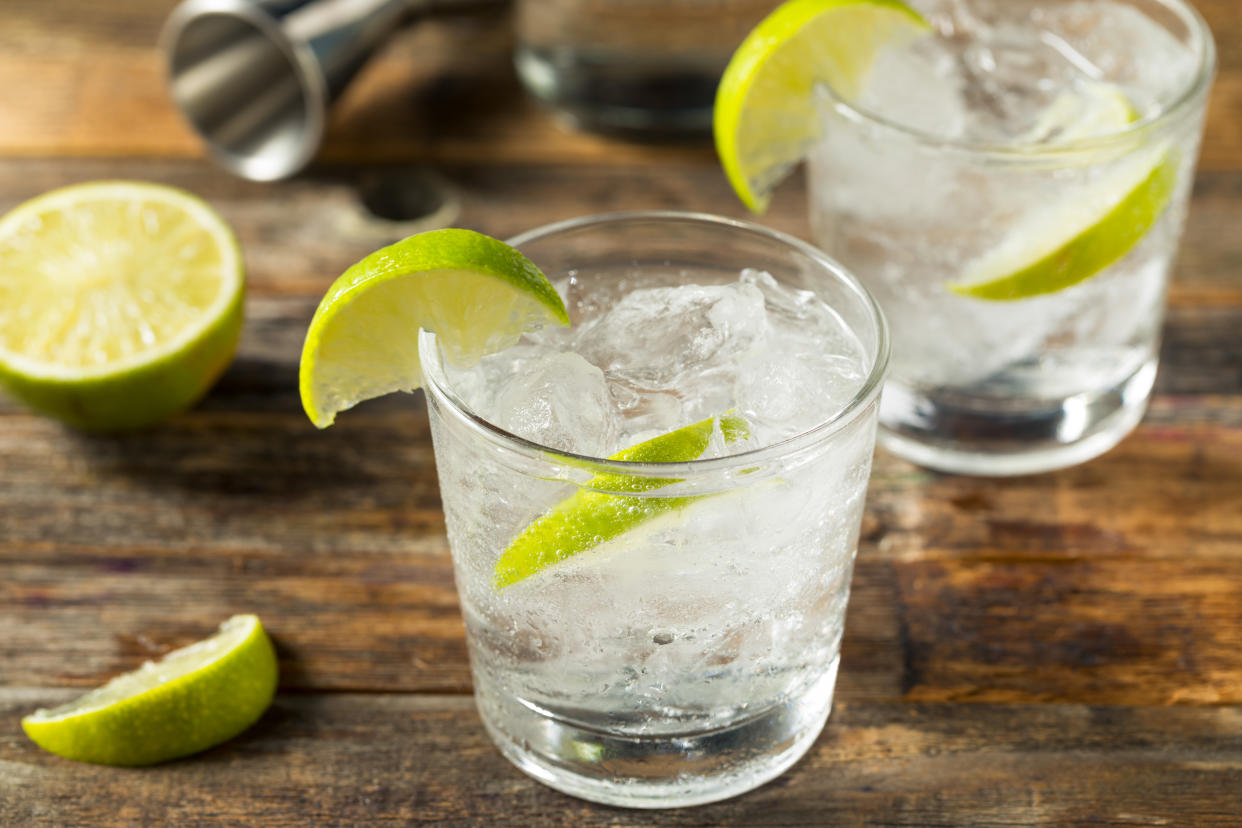 Refreshing Boozy Gin and Tonic with Lime