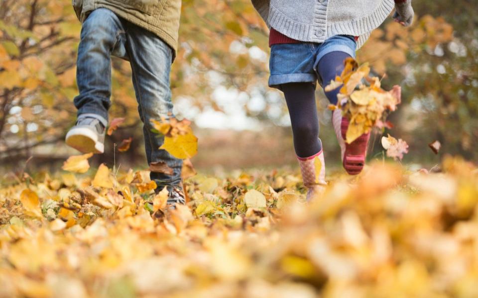 Autumn is the perfect time of year to get outdoors and enjoy the changing scenery  - Getty Images Contributor