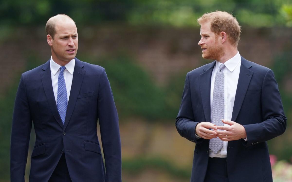 Prince Harry ‘secretly attends funeral with brother William’