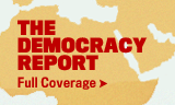 The Democracy Report