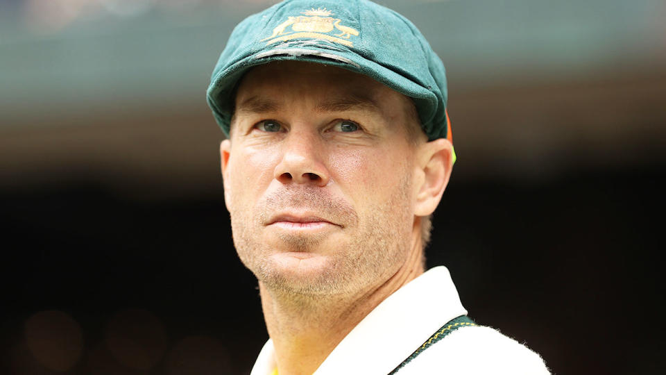 Pictured here, David Warner looks on during a Test match for Australia.