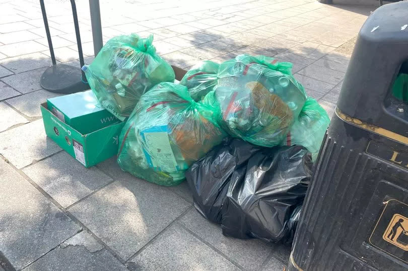 Bags of rubbish lined up next to a bin in Putney