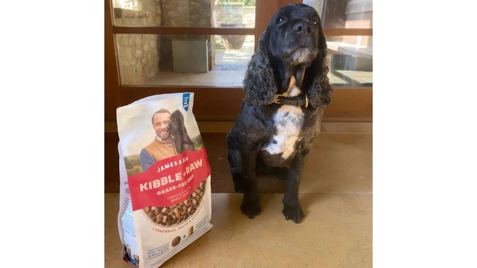 a photo of a black cocker spaniel by a brown door