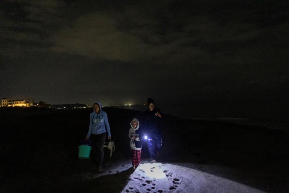 Cabagbag, his son Gabriel, 7, his wife Jonnibel, 39, and their two dogs look for turtle tracks and nests in the sand (Reuters)