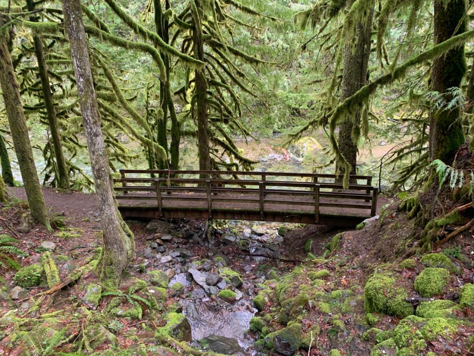 Hiking along the Old Salmon River Trail near Welches in Mount Hood National Forest.