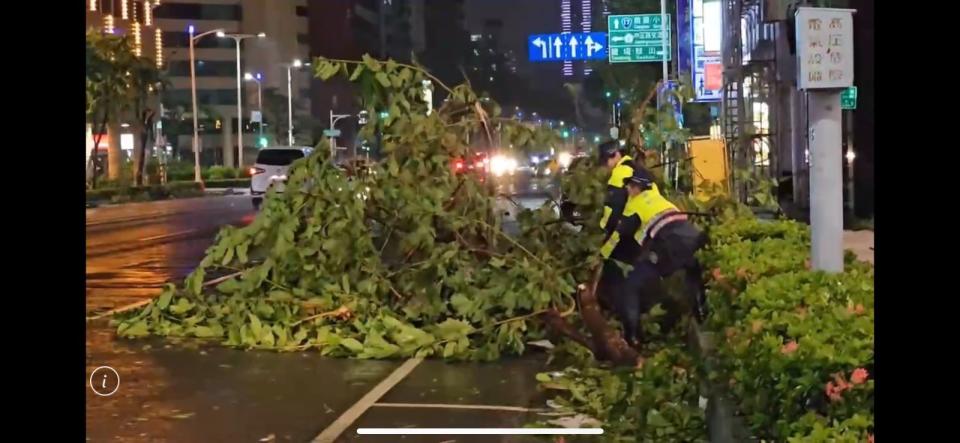 山陀兒颱風高雄肆虐，高市府統計有2167件路樹災情。高市警交大提供