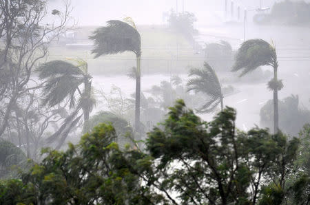 Strong wind and rain from Cyclone Debbie is seen effecting trees at Airlie Beach, located south of the northern Australian city of Townsville. AAP/Dan Peled/via REUTERS