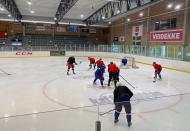 Ice hockey during the coronavirus disease (COVID-19) pandemic, in Gothenburg