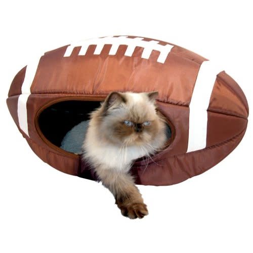 When your team is winning, this is a cat football bed.