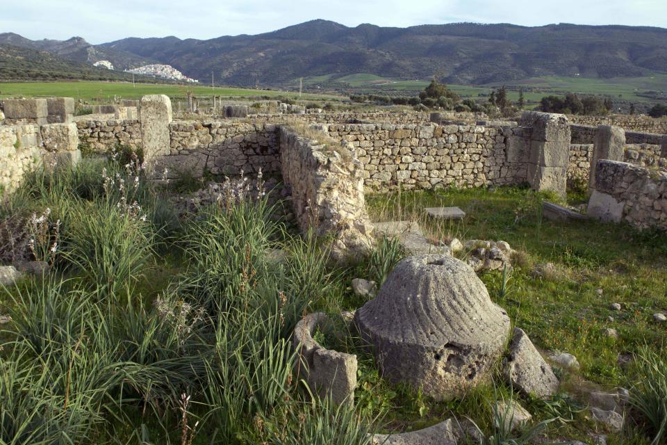 In this Thursday, March 8, 2012 photo, a stone used to grind olives to produce olive oil peeks through the undergrowth in Volubilis, Morocco's most famous Roman ruin near Meknes, Morocco. (AP Photo/Abdeljalil Bounhar)