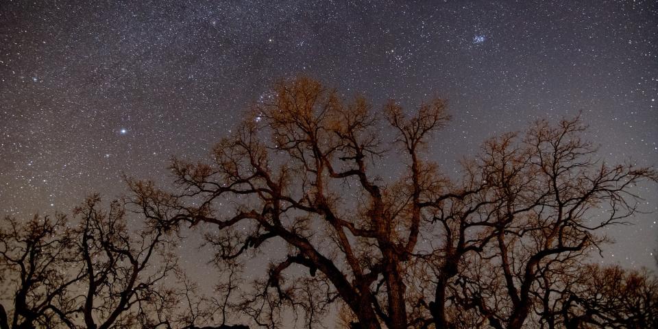 a photo of the night sky in Tehachapi