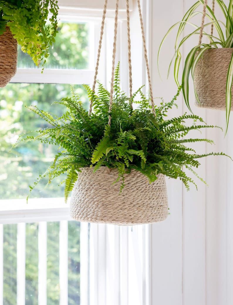 41) Hanging Plant Pots