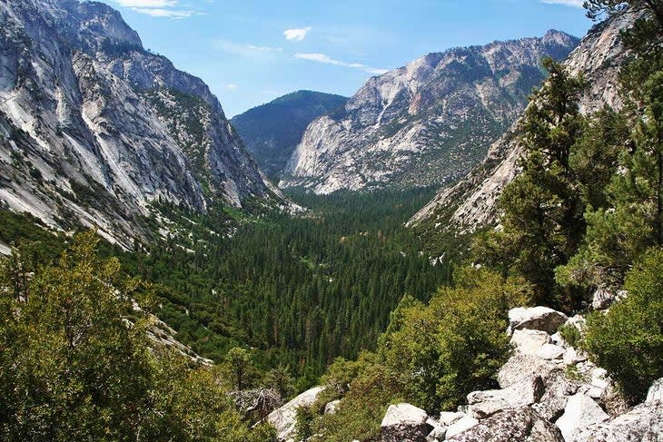 <span class="article__caption">Kings Canyon, jointly managed with Sequoia National Park</span> (Photo: NPS/Rick Cain)