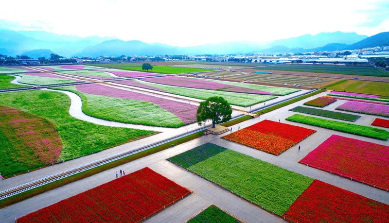 新社花海結合台中地區農產行銷，有得吃、有得玩又超好拍。圖：行政院農委會種苗改良繁殖場／提供