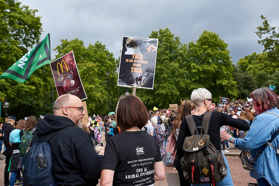 Animal rights protester march from Anchillies corner in Hyde Park to Trafalgar Square in London on Saturday Aug 17th, 2019 (Photo by Karyn Louise/NurPhoto via Getty Images)