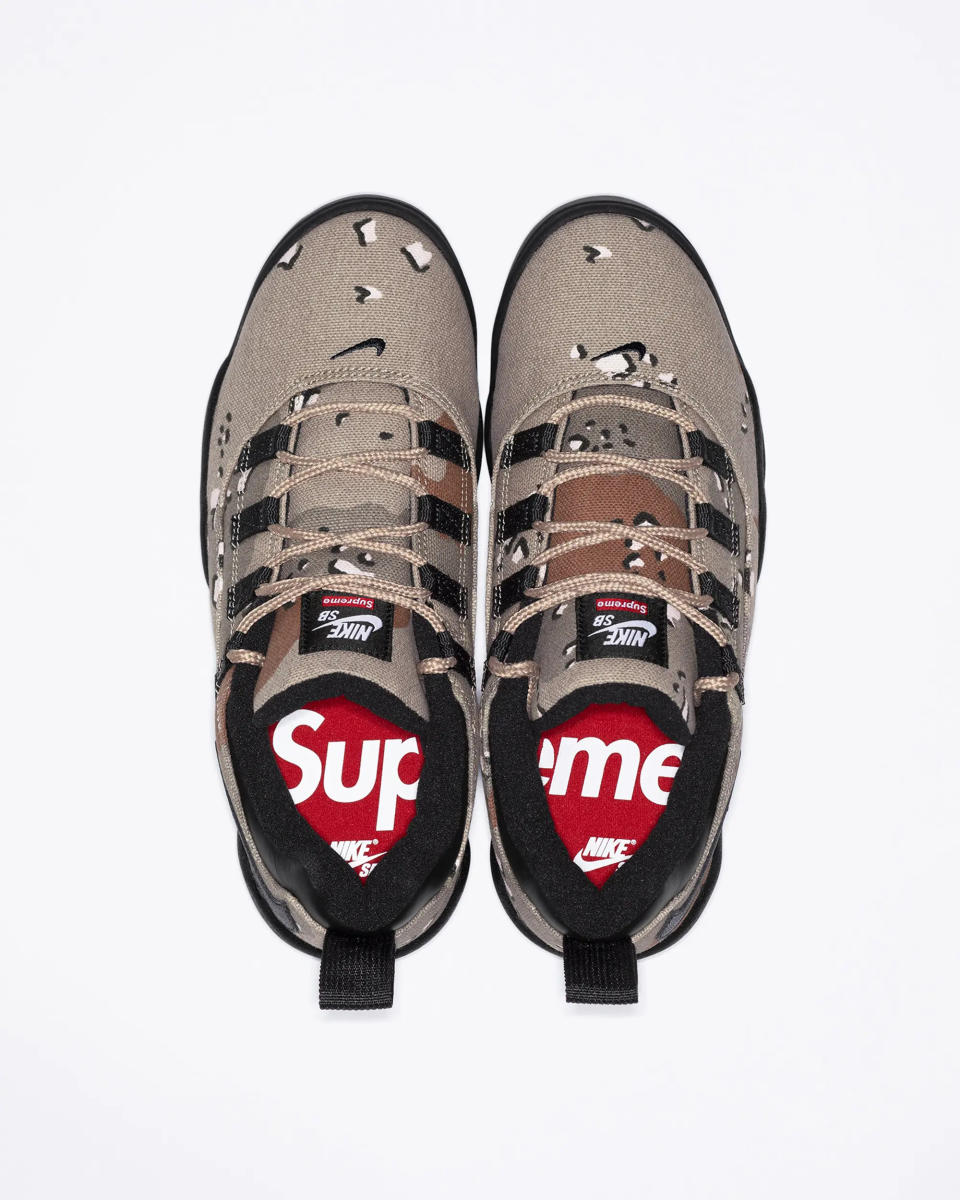 Supreme Nike SB Darwin Low Camo