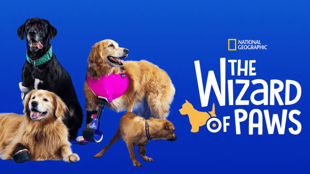 The Wizard of Paws Season 1 streaming