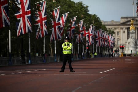 A policeman stands in the Mall decked out with Union Jack flags