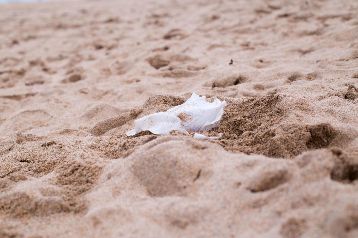 Wet wipes on a beach. (Natasha Ewins/Marine Conservation Society)