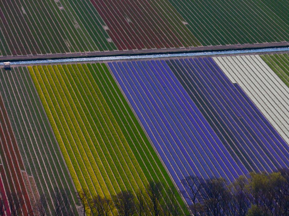 farmland in the netherlands