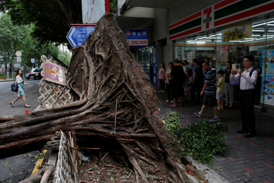 Many trees were also uprooted as a result of the strong winds. (Photo by: Reuters)