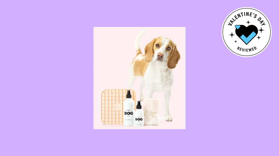 Best gifts to give your pet for Valentine's Day: Pamper set