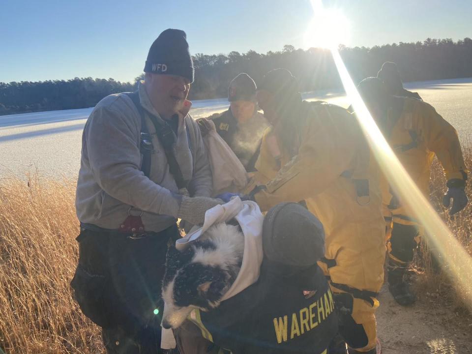 Authorities rescue dog that fell through ice in Wareham