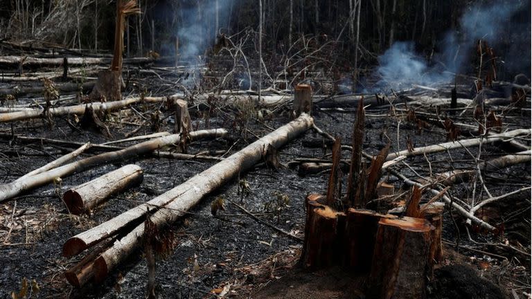 Entre enero y agosto de 2019, el número de incendios forestales en Brasil aumentó casi un 83% respecto al mismo periodo del año pasado.