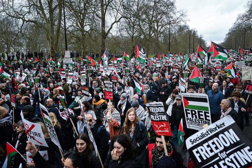 Pro-Palestinian activists and supporters wave flags and carry placards during the march (AFP via Getty Images)