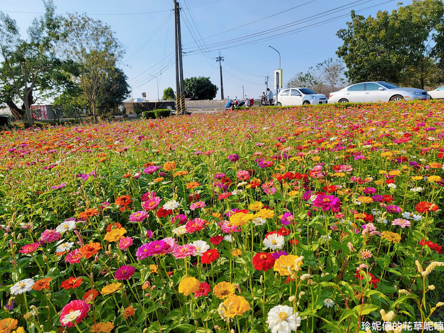 屏東｜新埤鄉綜合休閒公園