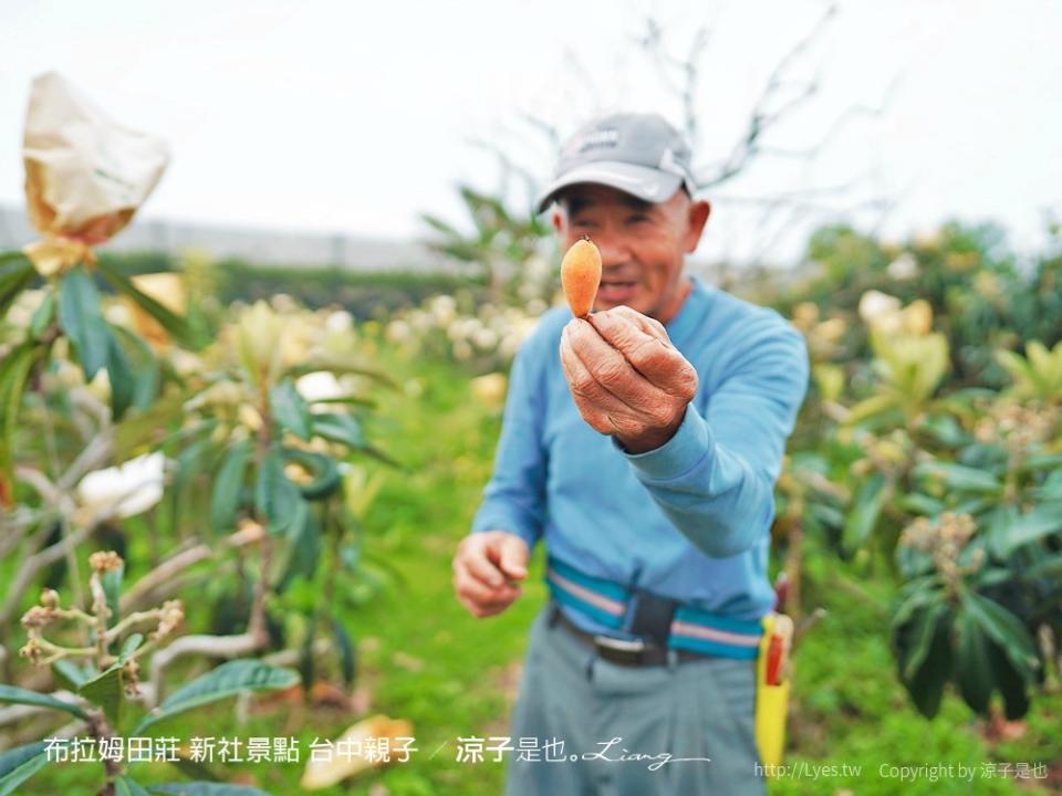 台中新社｜布拉姆田莊