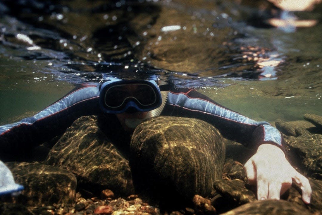 A Fisheries diver.