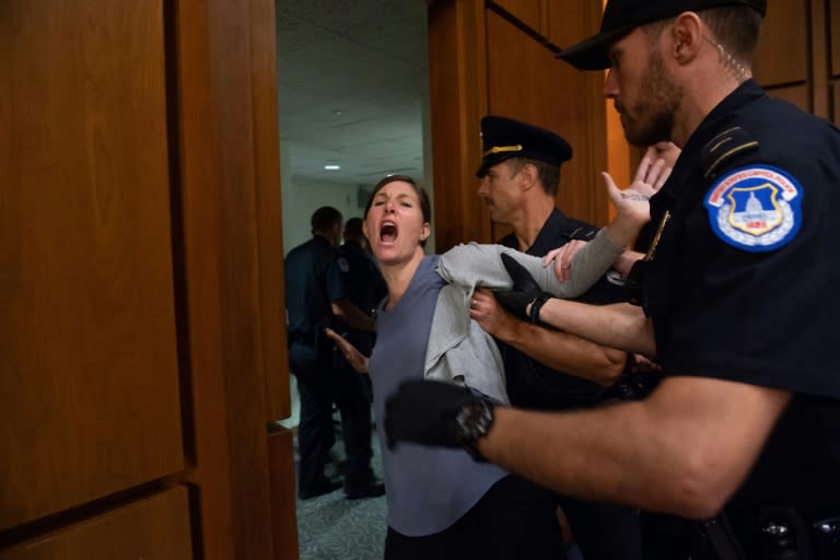 For a second straight day, protesters interrupted the Senate confirmation hearing of Judge Brett Kavanaugh to be an associate justice on the US Supreme Court