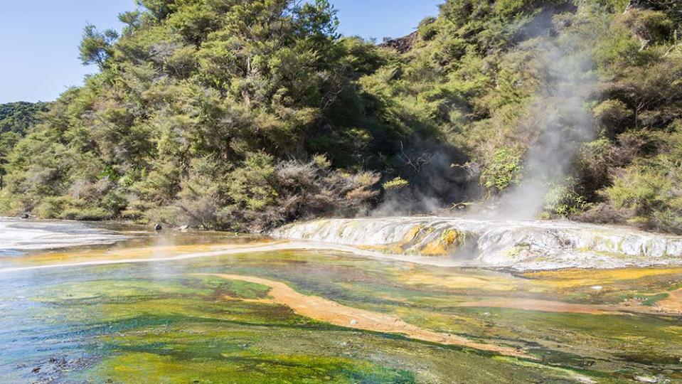 懷芒古火山谷讓人見識多種地熱活動（Image waimangu_valley_.jpegSource : Getty Creative）