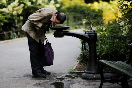 A man drinks from a water fountain on a hot summer day in Central Park, Manhattan, New York, U.S., July 1, 2018. REUTERS/Eduardo Munoz