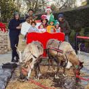 <p>Is that you, Rudolph? Two reindeer even stuck around to see what all the fuss was about, which of course called for another family photo.</p>