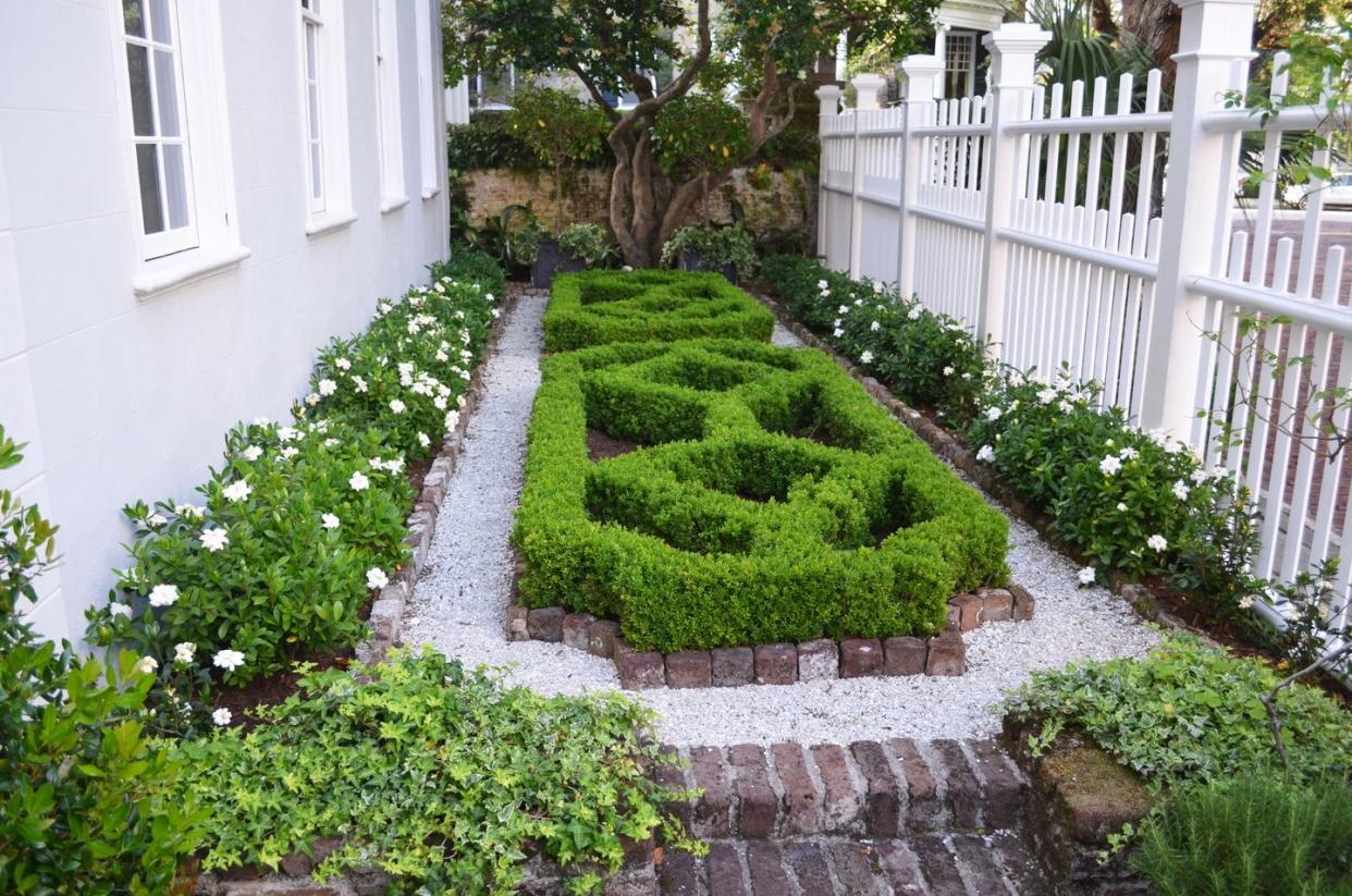 18th century charleston, south carolina, home design by ben lenhardt a double border of white gardenias embraces geometric kingsville littleleaf boxwood, with an old ligustrum tree standing guard above two gardenia standards