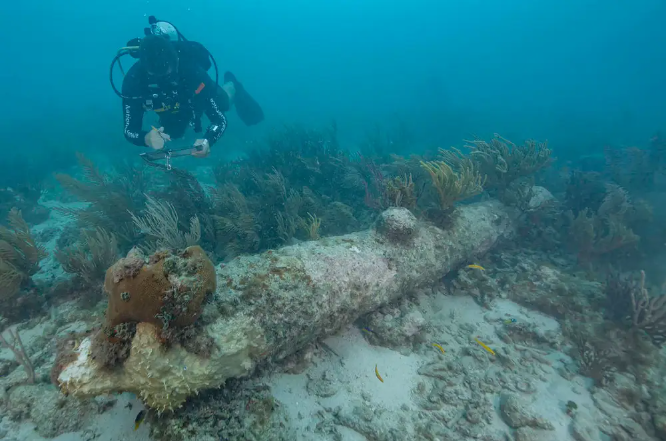 Ein Nationalpark-Taucher dokumentiert eine von fünf mit Korallen verkrusteten Kanonen, die bei einer kürzlich durchgeführten Untersuchung im Dry Tortugas National Park gefunden wurden. - Copyright: NPS photo by Brett Seymour