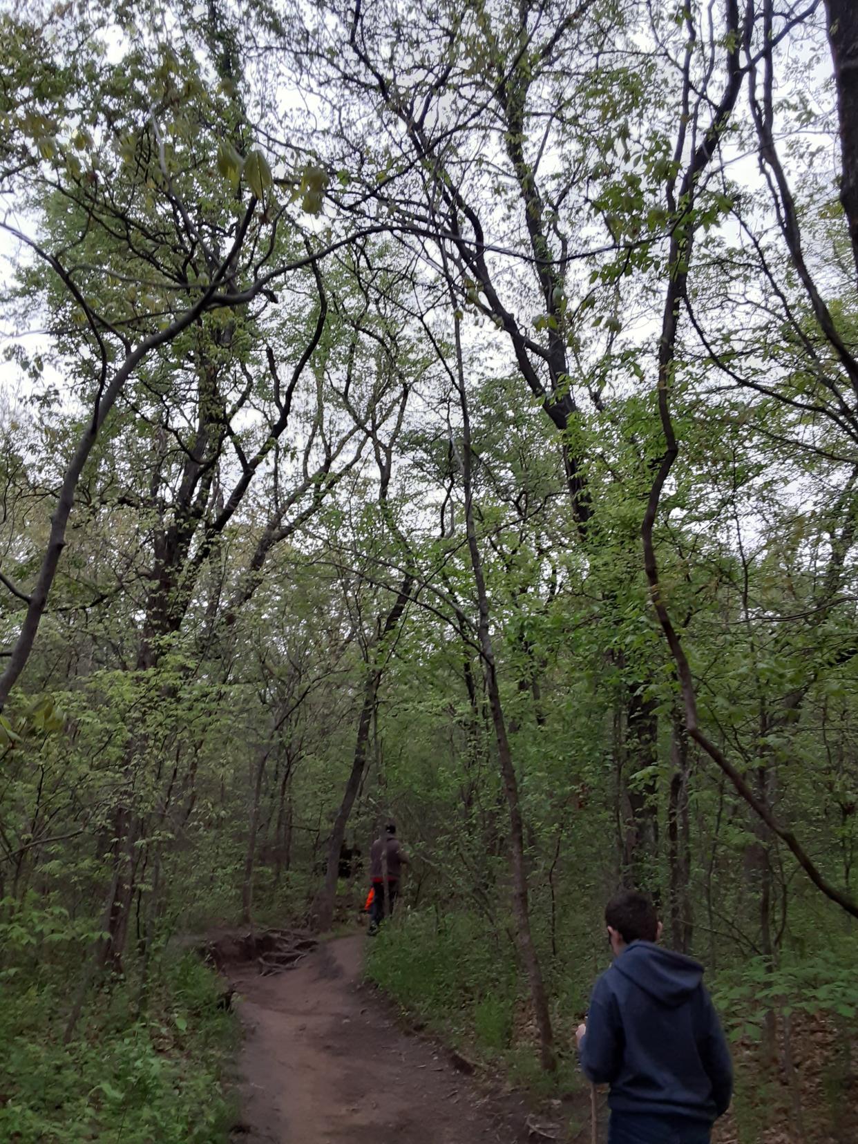 Gabriel McDonnell, son of Features Writer Brandy McDonnell, hikes in Turkey Mountain Urban Wilderness Area in Tulsa on April 17, 2021.