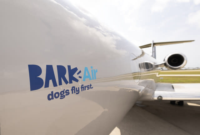 ‘Dogs First’ Airline Takes Inaugural Flight