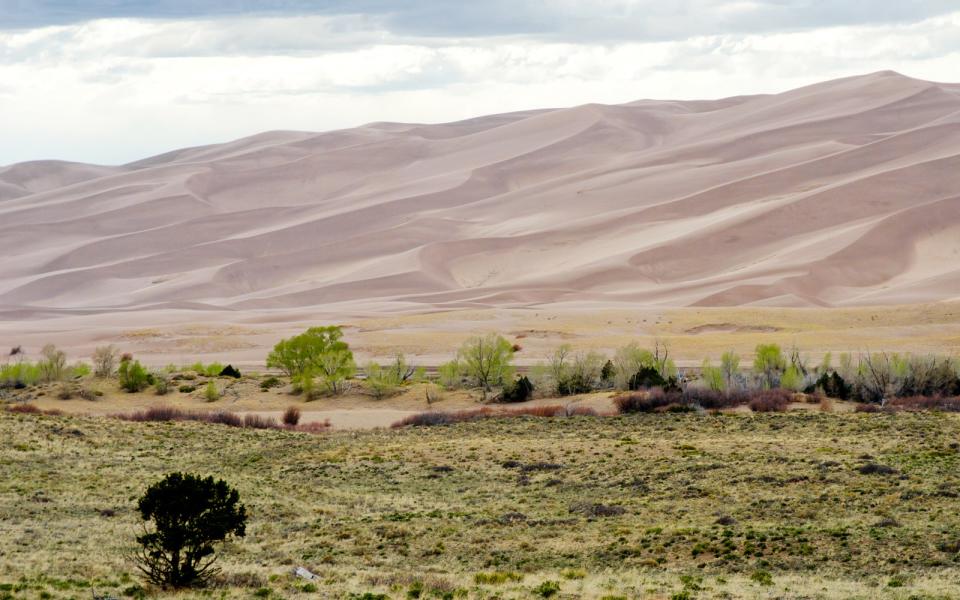 Colorado — Piñon Flats Campground, Great Sand Dunes National Park