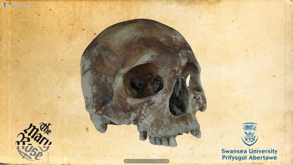 A 3D model of a skull that was found among the remains of the wrecked 16th-century English warship Mary Rose. The skull, recovered from the shipwreck, belonged to the ship's carpenter, according to archaeologists.