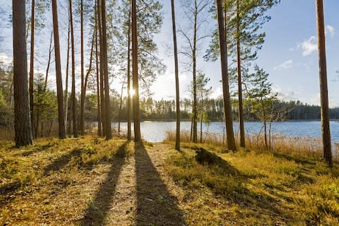 One of Latvia's many lakes - Credit: Ronstik/Ronstik